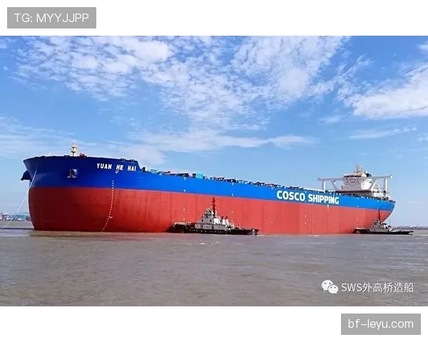 费尔明国际青年赛崭露头角，团队协作能力获赞